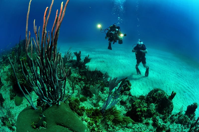 Underwater Cameras